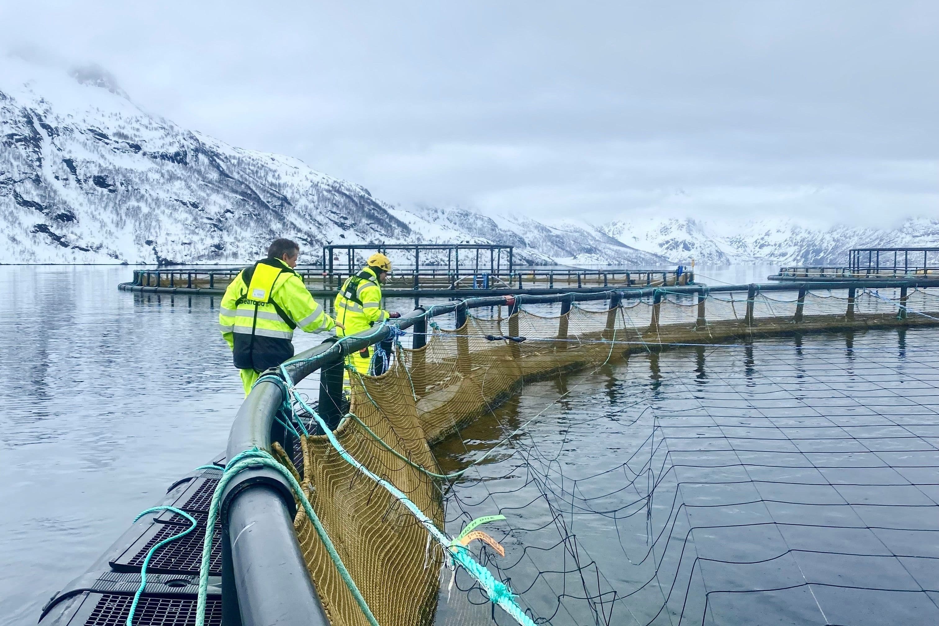 Her handler alt om sjømatproduksjon