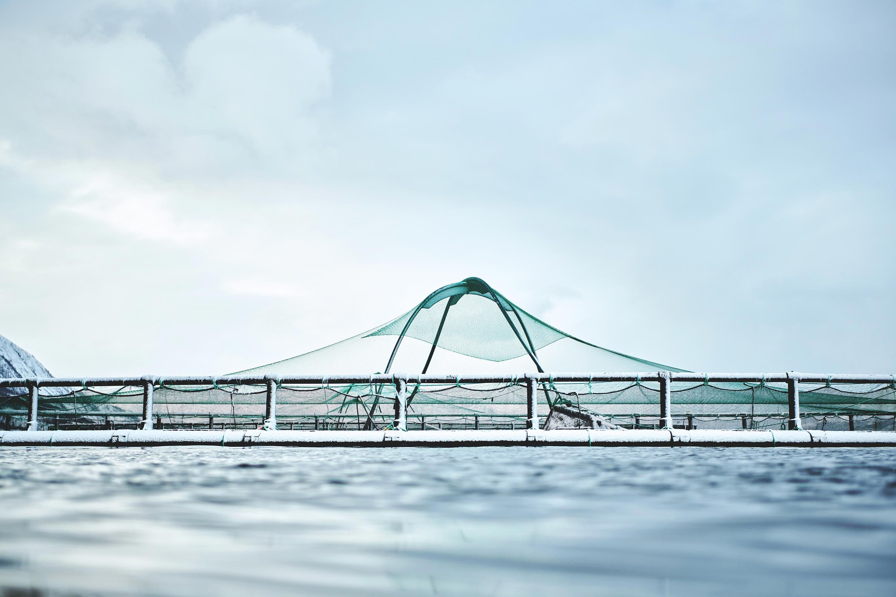 Transferring best industry practices